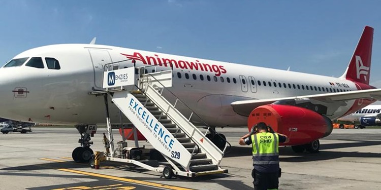 AnimaWings