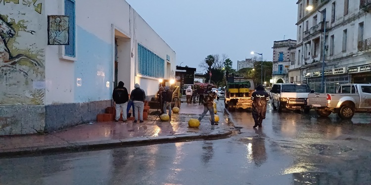 marché central de Bizerte