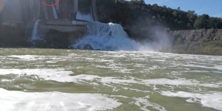 barrage de Mellègue