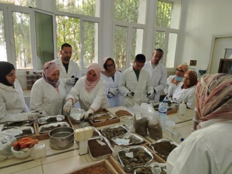 Agriculture FAO